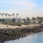 Addington Beach