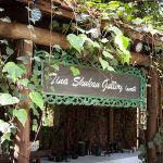 Tina Skukan Art Gallery