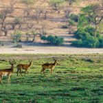 Marakele National Park