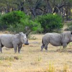 Kruger National Park