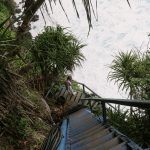 Tsitsikamma National Park