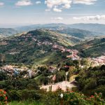 Valdezia